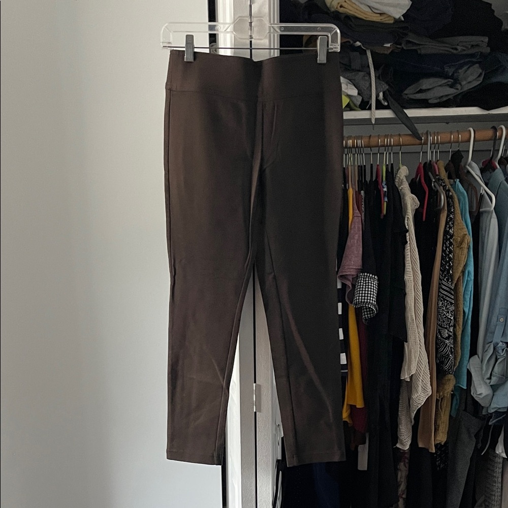 INC International Concepts Chocolate Brown Panta